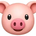 pig emoji meaning