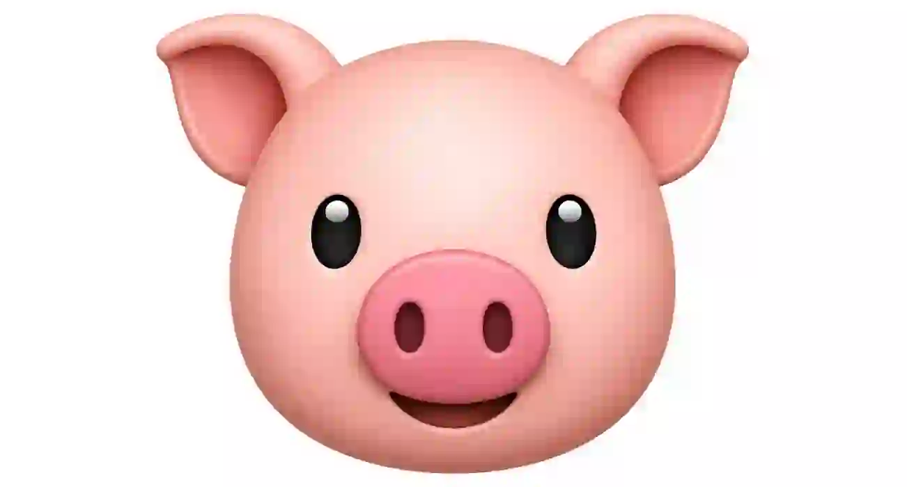 pig emoji meaning