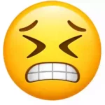 wince emoji