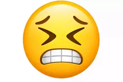 wince emoji